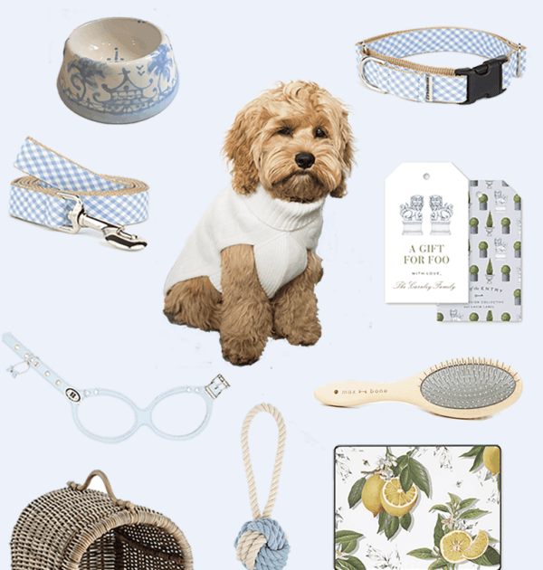 Serena & Lily decor