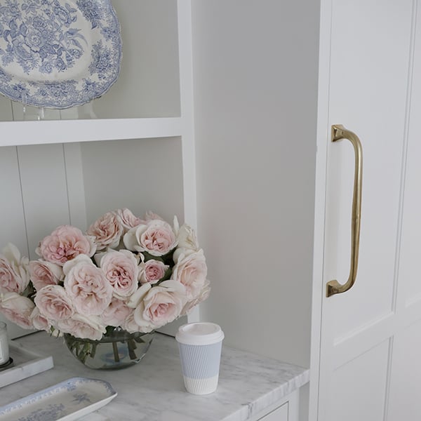 garden roses