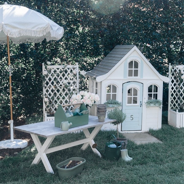 emily hertz birthday party planning