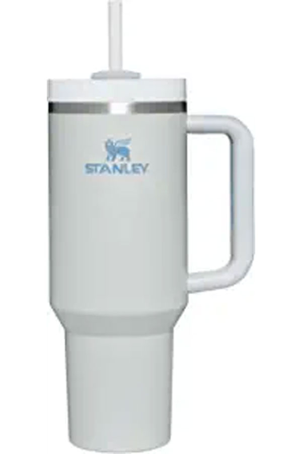 Stanley mug in fog